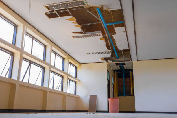 Best Professional water damage repair  in Waukon, IA