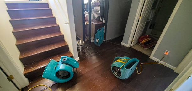 Best Carpet water damage restoration  in Waukon, IA