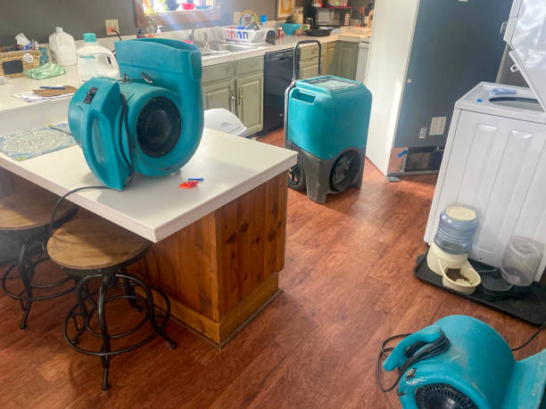 Best Flooded house restoration  in Waukon, IA
