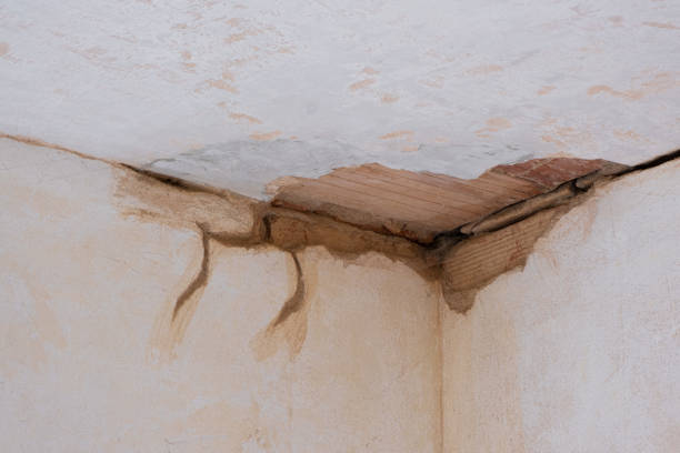 Best Local water damage restoration  in Waukon, IA