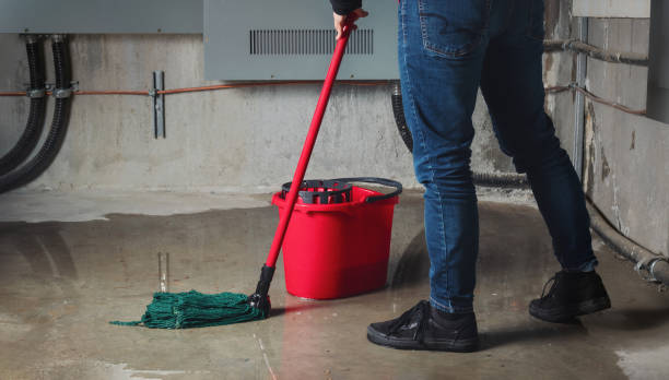 Best Emergency water damage restoration  in Waukon, IA