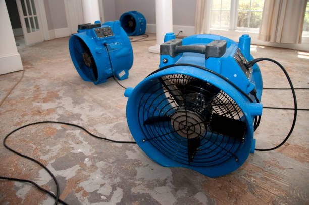 Best Sewage cleanup and water damage restoration  in Waukon, IA