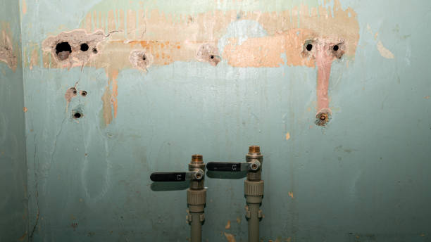  Waukon, IA Water damage restoration Pros
