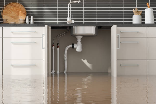 Best Flood restoration services  in Waukon, IA