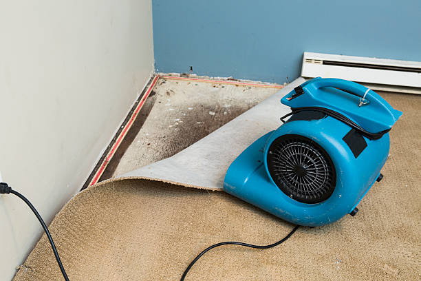 Best Water damage restoration process  in Waukon, IA